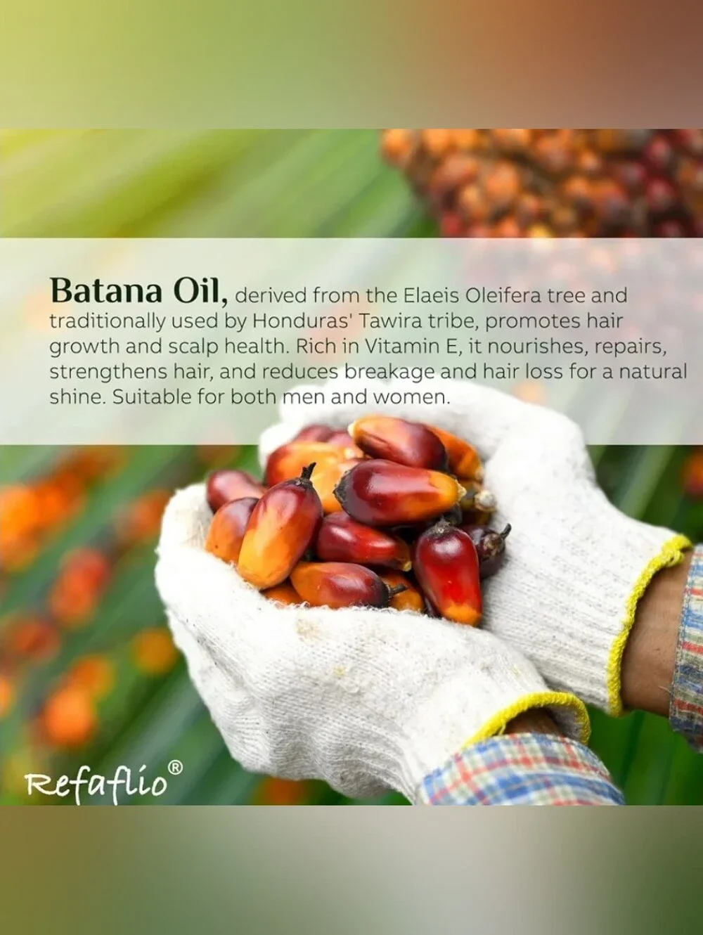Raw Organic Batana Oil for Hair Growth, Enhances Thickness & Prevents Hair Loss